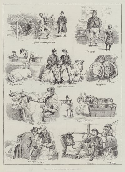 Sketches at the Smithfield Club Cattle Show by S.T. Dadd